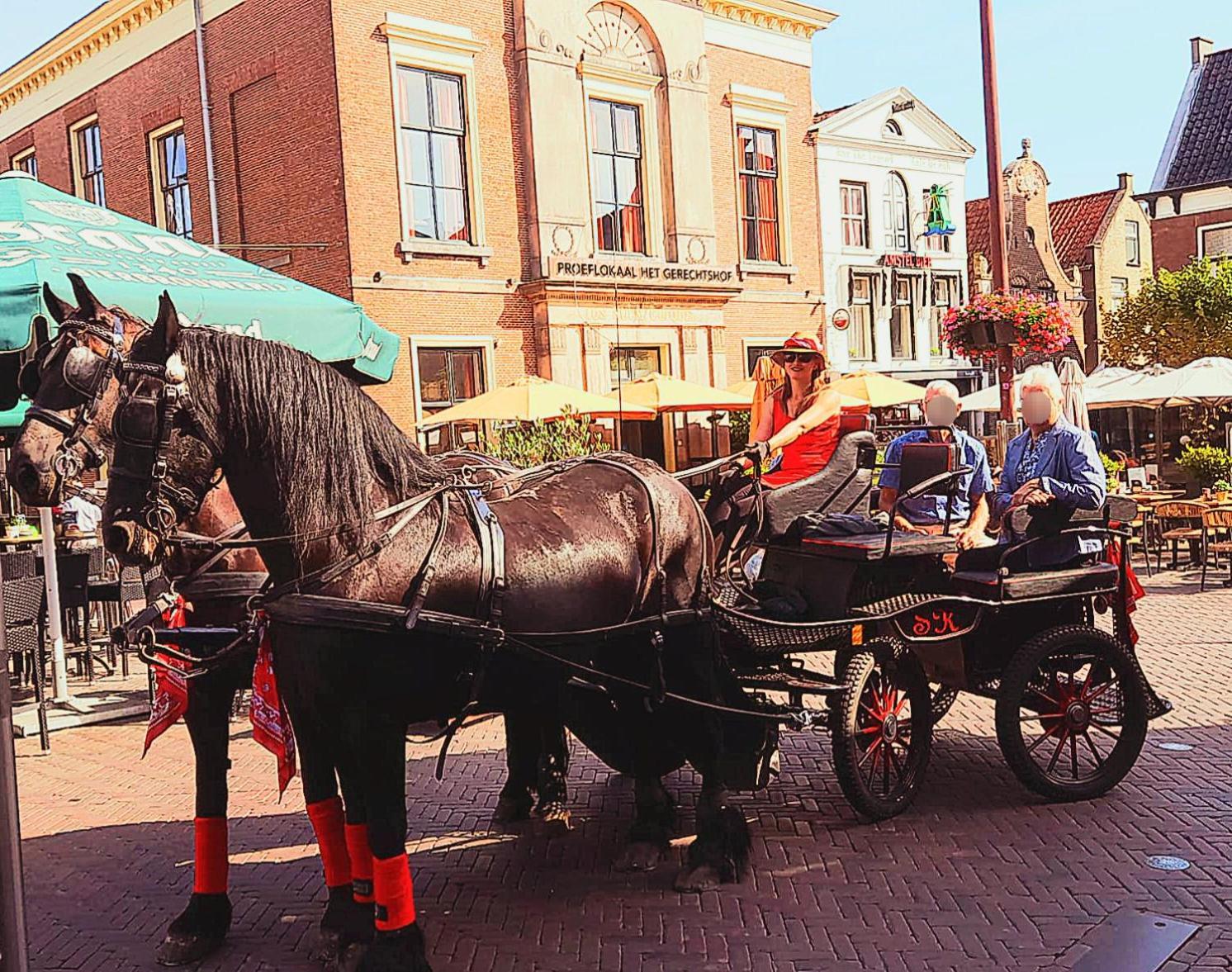 Stacaravan Op De Paardenboerderij * Sneek